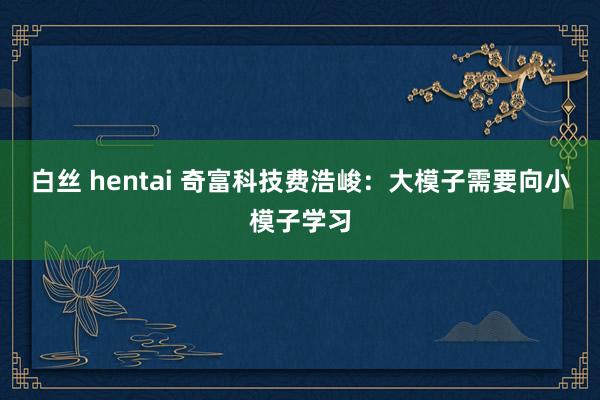 白丝 hentai 奇富科技费浩峻：大模子需要向小模子学习