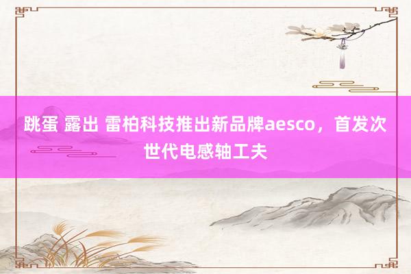 跳蛋 露出 雷柏科技推出新品牌aesco，首发次世代电感轴工夫