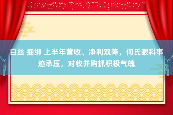 白丝 捆绑 上半年营收、净利双降，何氏眼科事迹承压，对收并购抓积极气魄