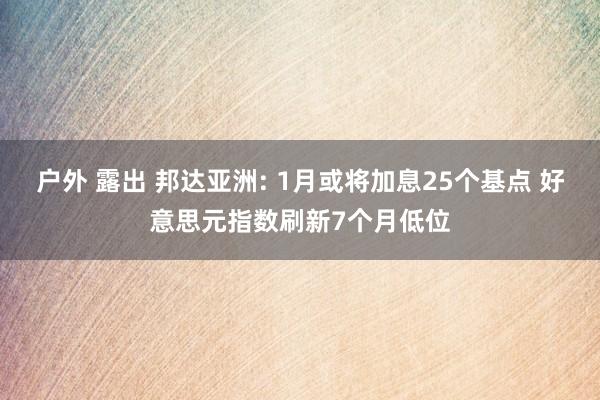 户外 露出 邦达亚洲: 1月或将加息25个基点 好意思元指数刷新7个月低位