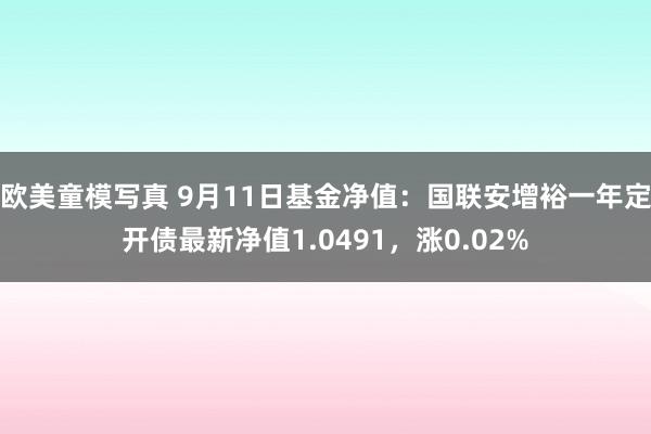 欧美童模写真 9月11日基金净值：国联安增裕一年定开债最新净值1.0491，涨0.02%