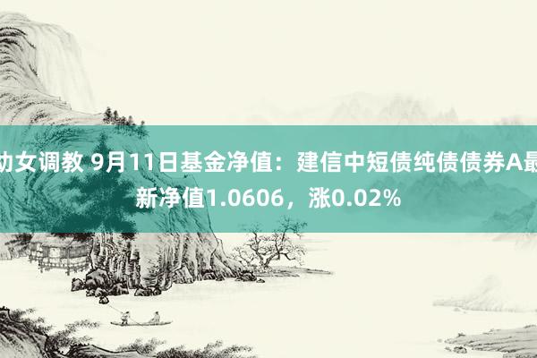 幼女调教 9月11日基金净值：建信中短债纯债债券A最新净值1.0606，涨0.02%