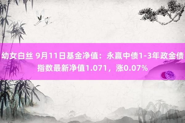 幼女白丝 9月11日基金净值：永赢中债1-3年政金债指数最新净值1.071，涨0.07%