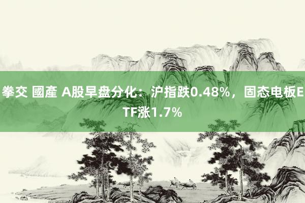 拳交 國產 A股早盘分化：沪指跌0.48%，固态电板ETF涨1.7%