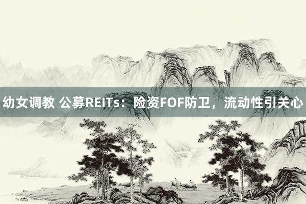 幼女调教 公募REITs：险资FOF防卫，流动性引关心