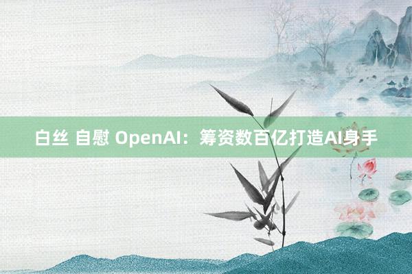 白丝 自慰 OpenAI：筹资数百亿打造AI身手