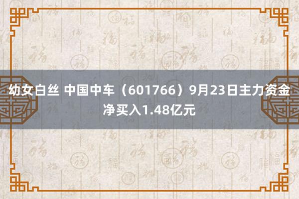 幼女白丝 中国中车（601766）9月23日主力资金净买入1.48亿元