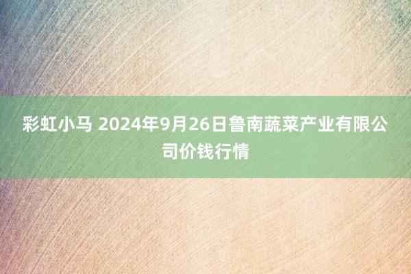 彩虹小马 2024年9月26日鲁南蔬菜产业有限公司价钱行情