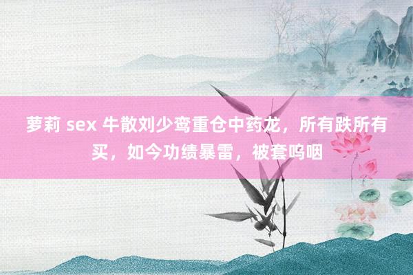 萝莉 sex 牛散刘少鸾重仓中药龙，所有跌所有买，如今功绩暴雷，被套呜咽