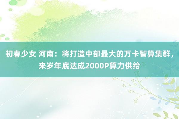 初春少女 河南：将打造中部最大的万卡智算集群，来岁年底达成2000P算力供给