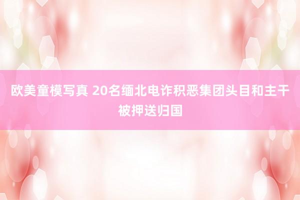 欧美童模写真 20名缅北电诈积恶集团头目和主干被押送归国