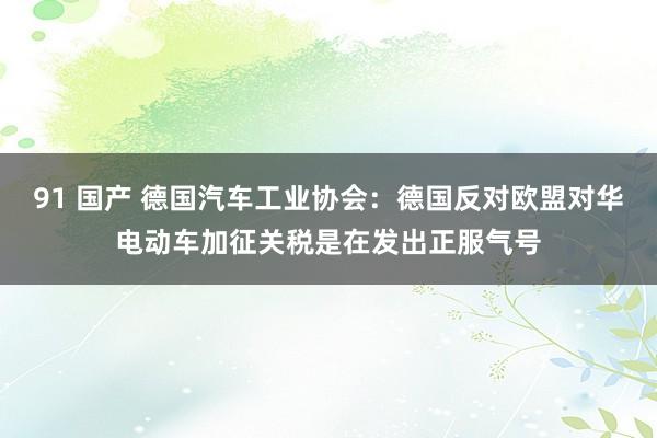 91 国产 德国汽车工业协会：德国反对欧盟对华电动车加征关税是在发出正服气号