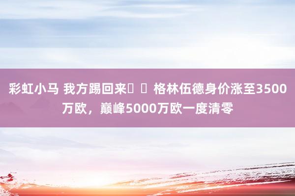 彩虹小马 我方踢回来❗️格林伍德身价涨至3500万欧，巅峰5000万欧一度清零