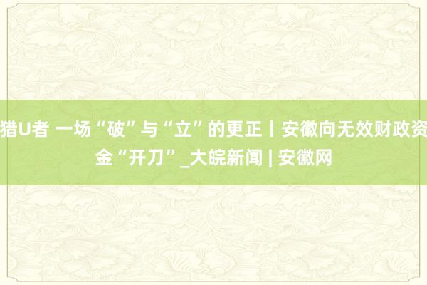 猎U者 一场“破”与“立”的更正丨安徽向无效财政资金“开刀”_大皖新闻 | 安徽网