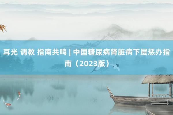 耳光 调教 指南共鸣 | 中国糖尿病肾脏病下层惩办指南（2023版）