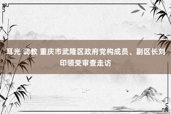 耳光 调教 重庆市武隆区政府党构成员、副区长刘印领受审查走访