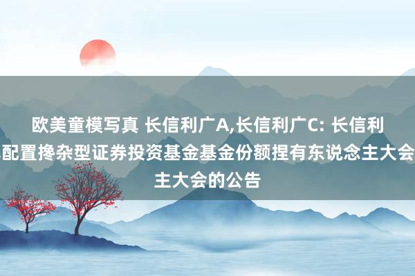 欧美童模写真 长信利广A，长信利广C: 长信利广纯真配置搀杂型证券投资基金基金份额捏有东说念主大会的公告