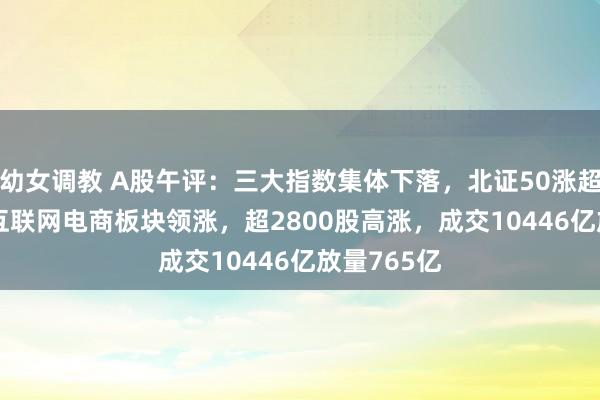 幼女调教 A股午评：三大指数集体下落，北证50涨超2.43%！互联网电商板块领涨，超2800股高涨，成交10446亿放量765亿