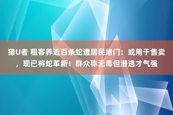 猎U者 租客养近百条蛇遭居民堵门：或用于售卖，现已将蛇革新！群众称无毒但潜逃才气强