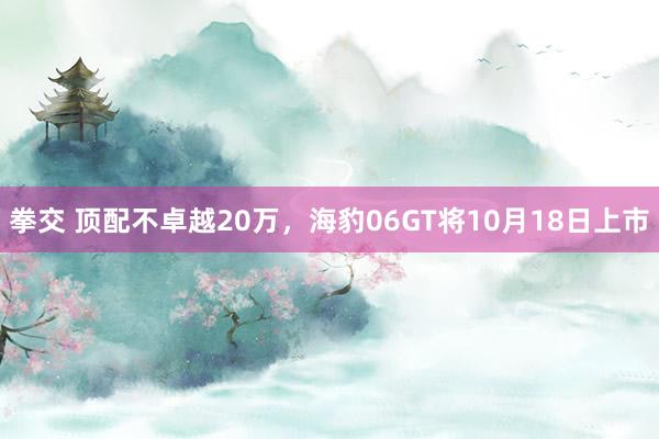 拳交 顶配不卓越20万，海豹06GT将10月18日上市