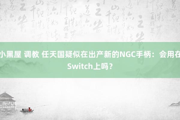 小黑屋 调教 任天国疑似在出产新的NGC手柄：会用在Switch上吗？