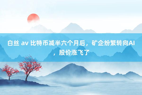 白丝 av 比特币减半六个月后，矿企纷繁转向AI，股价涨飞了