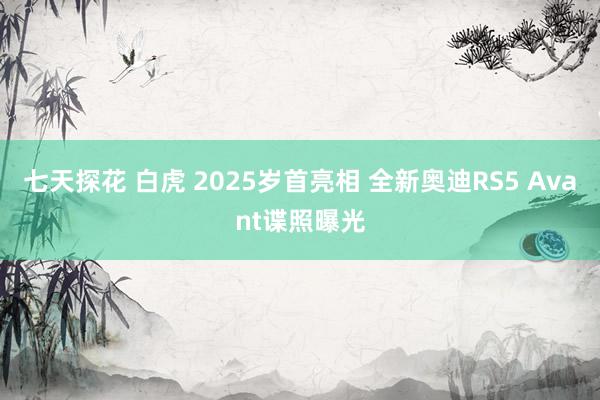 七天探花 白虎 2025岁首亮相 全新奥迪RS5 Avant谍照曝光