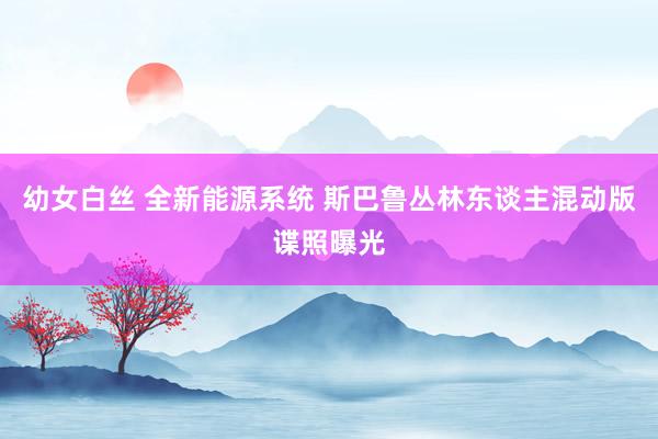 幼女白丝 全新能源系统 斯巴鲁丛林东谈主混动版谍照曝光