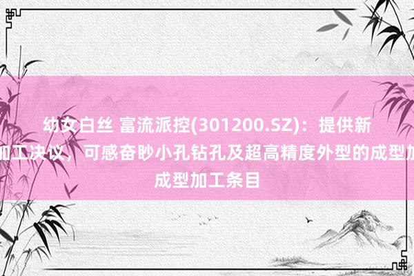 幼女白丝 富流派控(301200.SZ)：提供新式激光加工决议，可感奋眇小孔钻孔及超高精度外型的成型加工条目