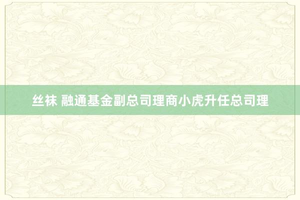 丝袜 融通基金副总司理商小虎升任总司理