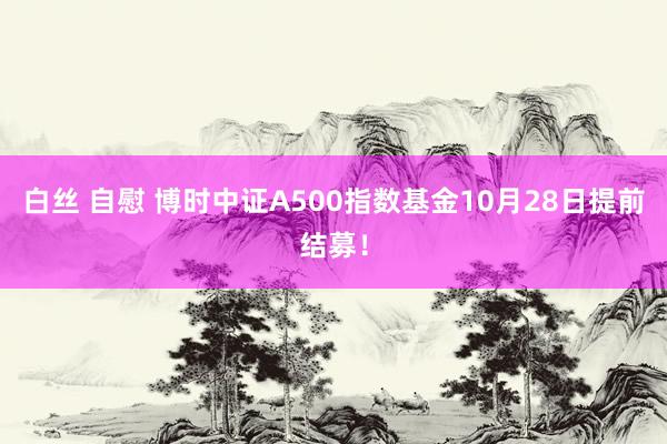 白丝 自慰 博时中证A500指数基金10月28日提前结募！