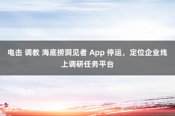 电击 调教 海底捞洞见者 App 停运，定位企业线上调研任务平台