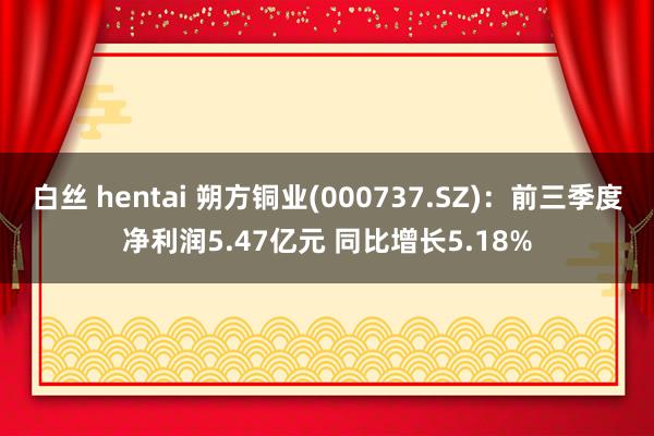 白丝 hentai 朔方铜业(000737.SZ)：前三季度净利润5.47亿元 同比增长5.18%