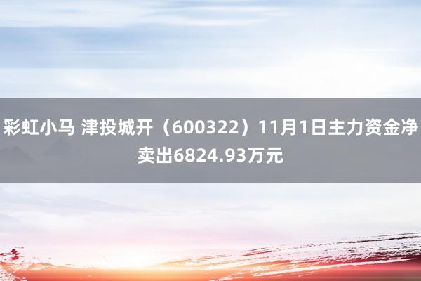 彩虹小马 津投城开（600322）11月1日主力资金净卖出6824.93万元