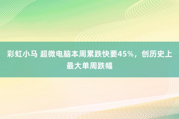 彩虹小马 超微电脑本周累跌快要45%，创历史上最大单周跌幅