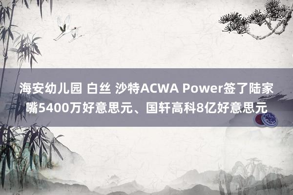 海安幼儿园 白丝 沙特ACWA Power签了陆家嘴5400万好意思元、国轩高科8亿好意思元