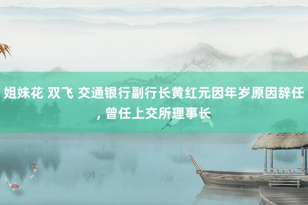 姐妹花 双飞 交通银行副行长黄红元因年岁原因辞任， 曾任上交所理事长