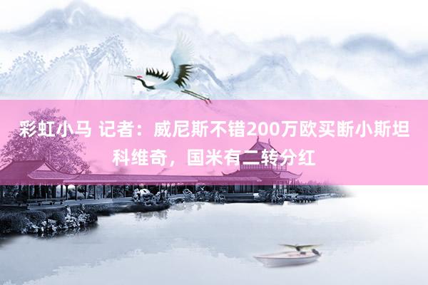 彩虹小马 记者：威尼斯不错200万欧买断小斯坦科维奇，国米有二转分红