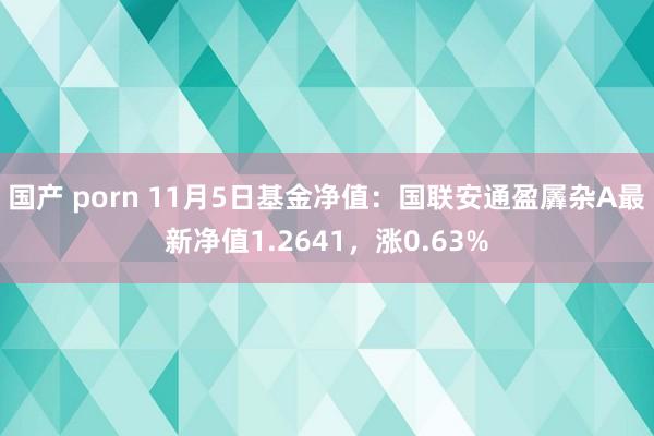 国产 porn 11月5日基金净值：国联安通盈羼杂A最新净值1.2641，涨0.63%