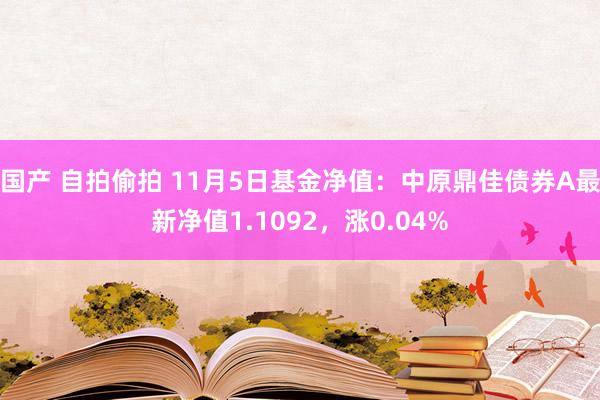 国产 自拍偷拍 11月5日基金净值：中原鼎佳债券A最新净值1.1092，涨0.04%