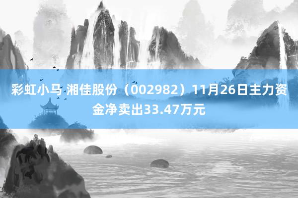 彩虹小马 湘佳股份（002982）11月26日主力资金净卖出33.47万元