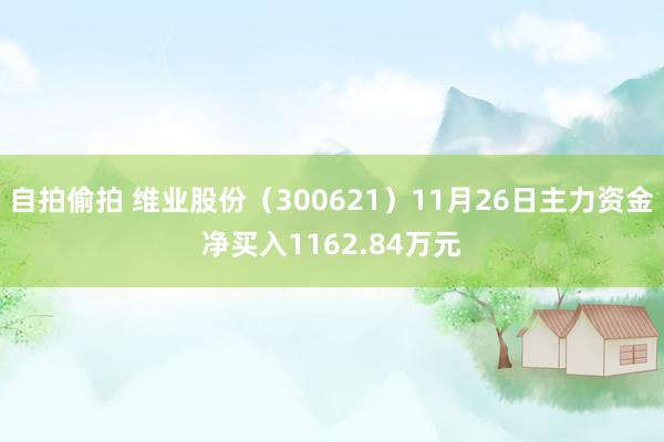 自拍偷拍 维业股份（300621）11月26日主力资金净买入1162.84万元