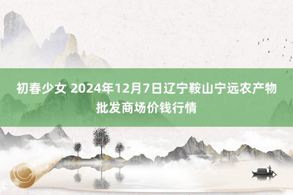 初春少女 2024年12月7日辽宁鞍山宁远农产物批发商场价钱行情