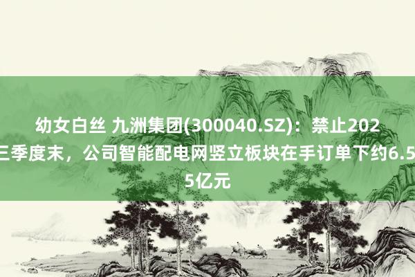 幼女白丝 九洲集团(300040.SZ)：禁止2024年三季度末，公司智能配电网竖立板块在手订单下约6.5亿元