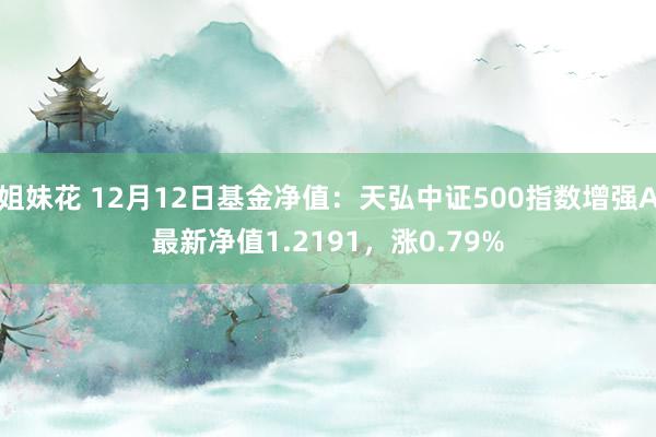 姐妹花 12月12日基金净值：天弘中证500指数增强A最新净值1.2191，涨0.79%