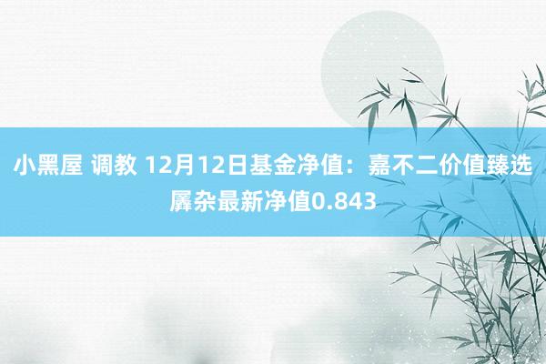 小黑屋 调教 12月12日基金净值：嘉不二价值臻选羼杂最新净值0.843