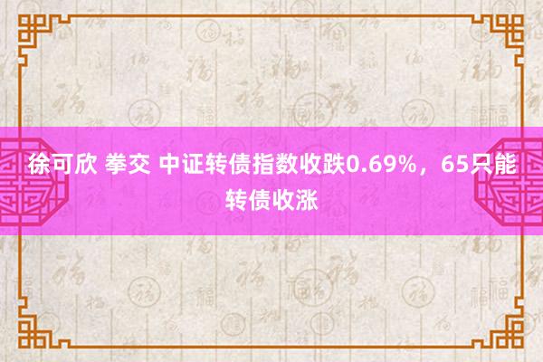 徐可欣 拳交 中证转债指数收跌0.69%，65只能转债收涨