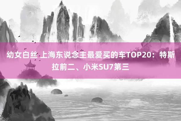 幼女白丝 上海东说念主最爱买的车TOP20：特斯拉前二、小米SU7第三