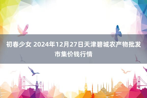 初春少女 2024年12月27日天津碧城农产物批发市集价钱行情