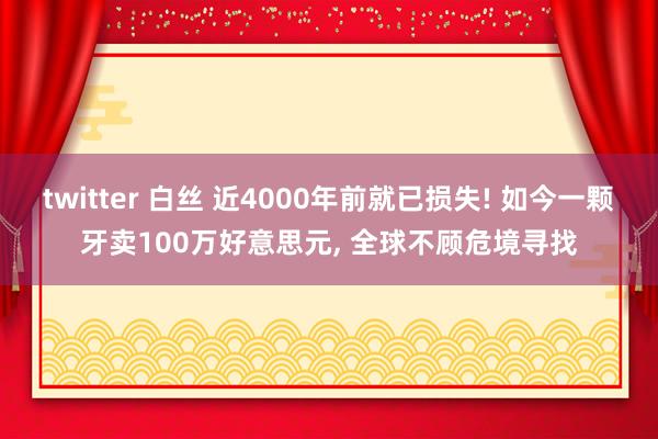 twitter 白丝 近4000年前就已损失! 如今一颗牙卖100万好意思元， 全球不顾危境寻找